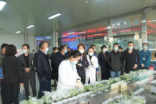 2021年全省農產品批發(fā)市場數(shù)字化轉型推進會在朝陽集團成功召開
