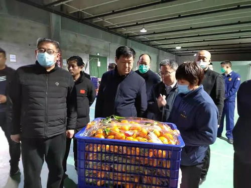 張勝明副市長(zhǎng)赴濟(jì)寧蔬菜批發(fā)市場(chǎng)調(diào)研 筑牢食品安全防線，守護(hù)百姓“菜籃子”安全